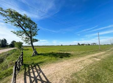 Campo · 60ha · Campo 60 Ha en Venta Ganadero Mixto