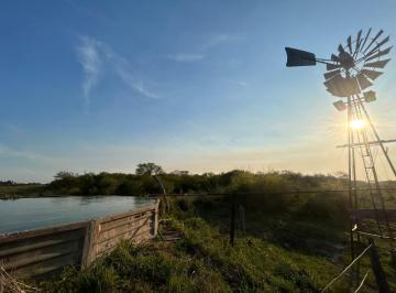 Campo · 1400ha · Campo Ganadero en Venta