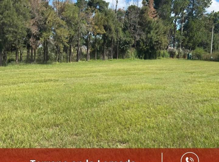 Terreno · 542m²