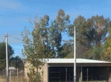 Local comercial , El Carrizal · El Carrizal, Lujan de Cuyo, Mendoza.