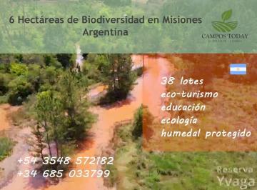 Campo , Jardín América · Reserva Natural Privada Yvaga Rendá | 6 Ha de Biodiversidad en Misiones, Argentina