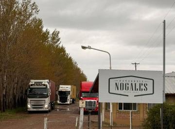 Terreno · 185ha · Finca Agroindustrial en Venta | 185 Ha de Nogales y Planta Exportadora