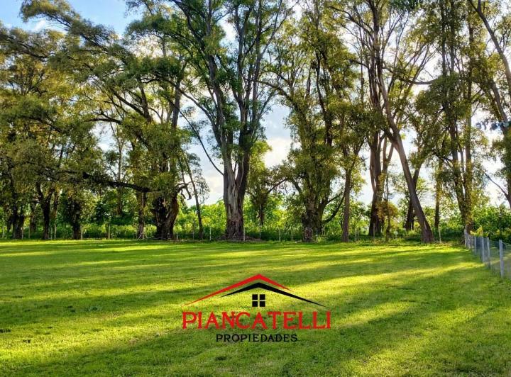 Terreno · 2000m²