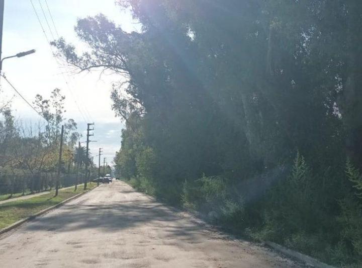 Terreno · 200m²