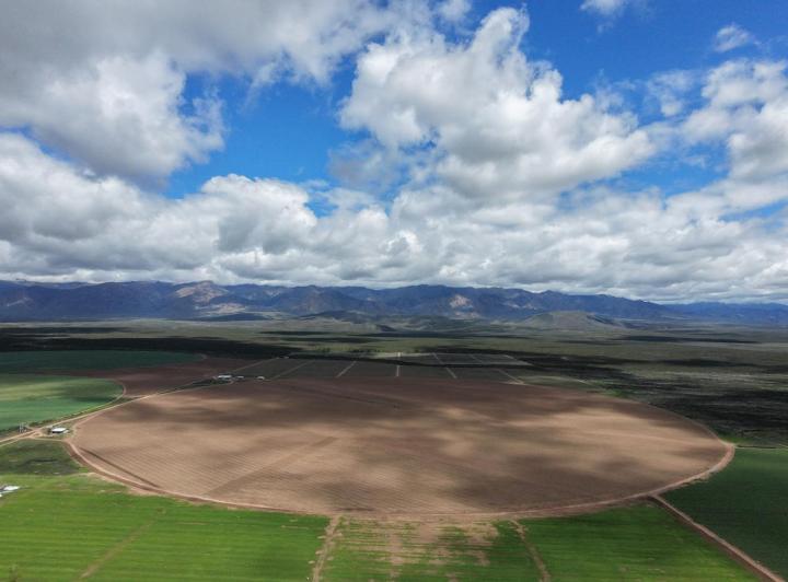 Campo · 1990000m²