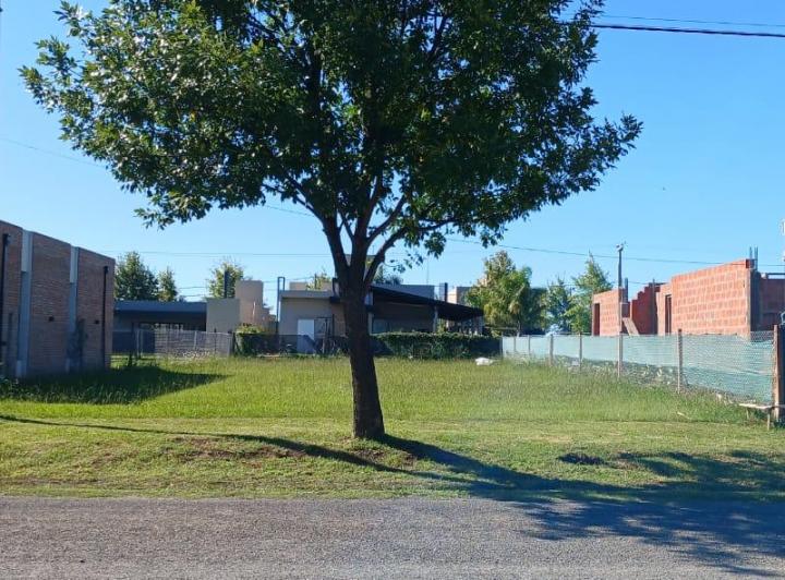 Terreno · 459m²