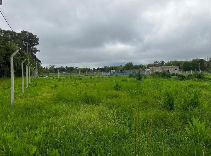 Terreno · 1378m²