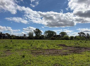 Terreno · 4382m² · Terreno Lote en Venta en Barrio Parque Los Pinos, Exaltación de La Cruz, G. B. a. Zona Norte