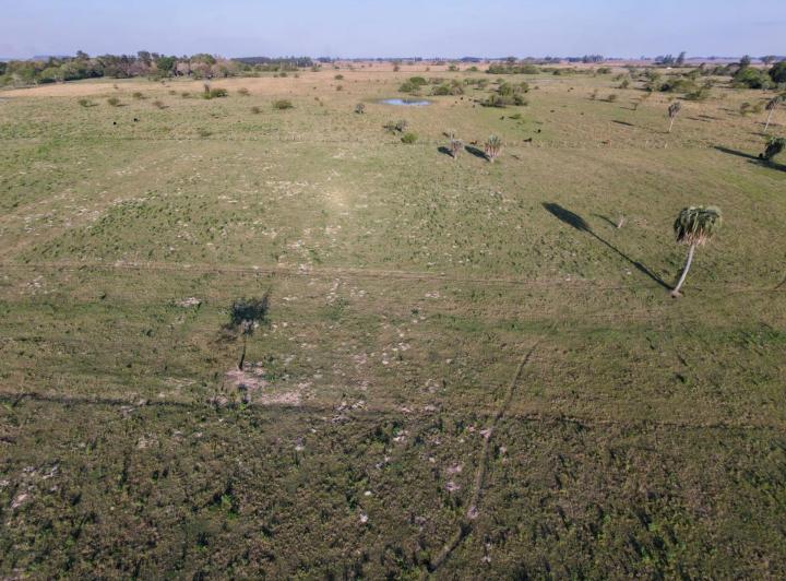 Terreno · 1015m²