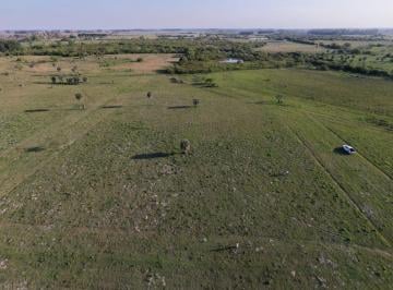 Terreno · 1015m² · Lotes en Venta | Colonia Porvenir