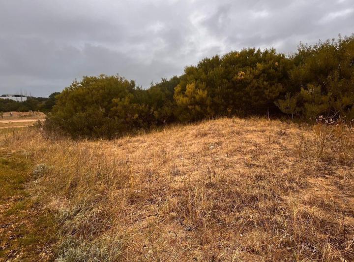 Terreno · 970m²