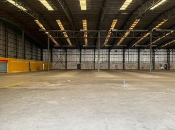 Local comercial · 2000m² · Alquiler Locales - Predio Diarco Pilar