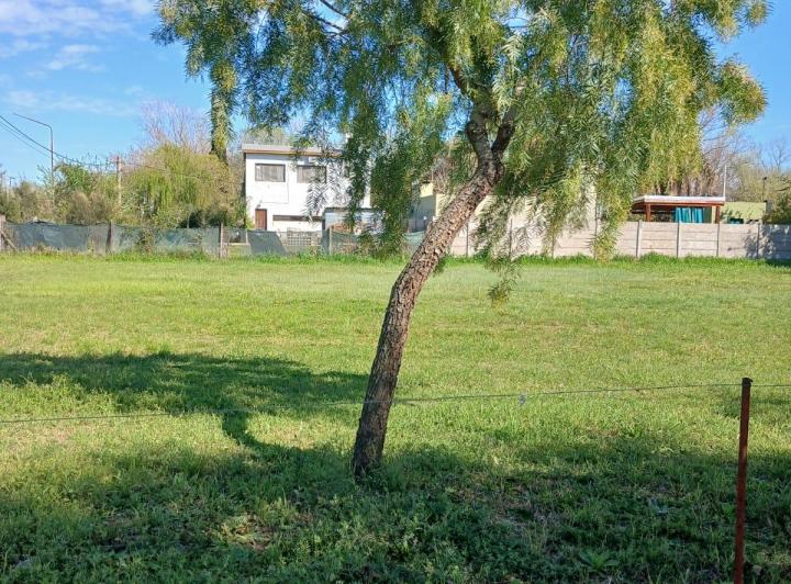Terreno · 1218m²