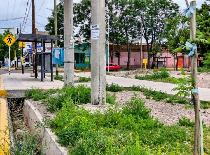 Terreno · 53200m²