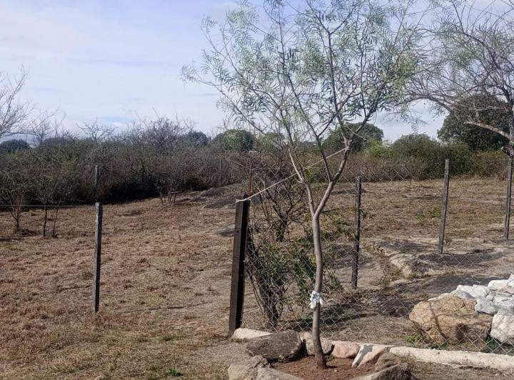 Terreno · 593m²