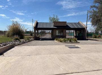 Terreno · 958m² · Lote en Venta en Pedriel Lujan de Cuyo