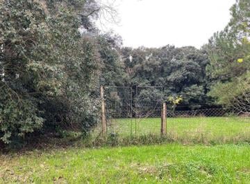 Terreno · 800m² · Venta Lote en Matheu Carlos V 1000