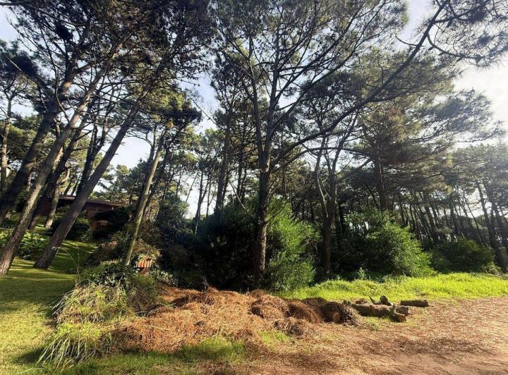 Terreno · 600m²