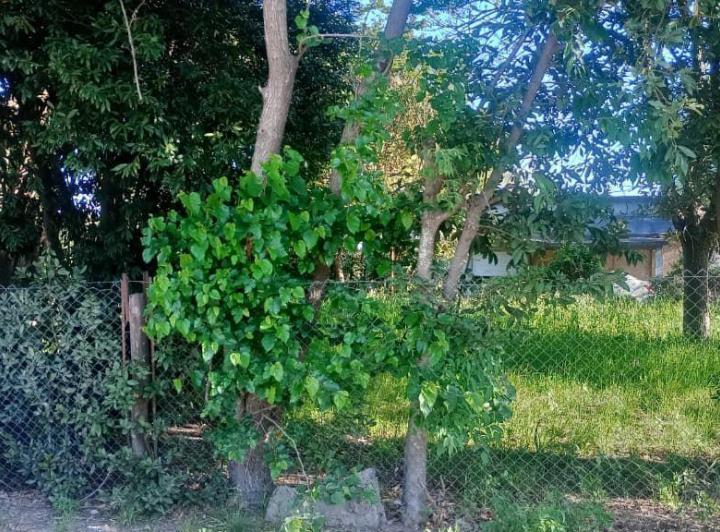 Terreno · 800m²
