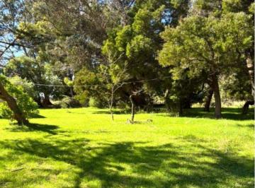 Campo , Punta Indio · Chacra Las Tahonas 7 Ha con Luz y Casa Excelente Acceso