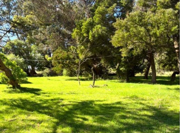 Campo · 7m²