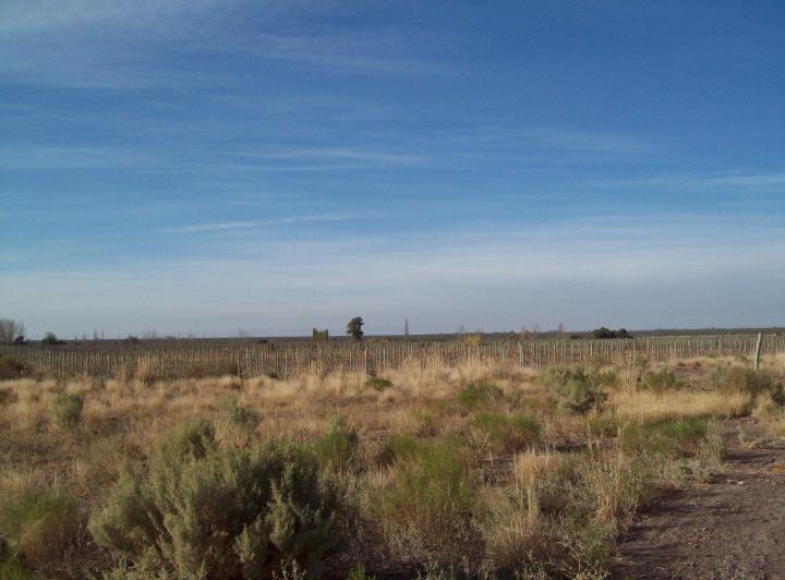 Campo · 30ha