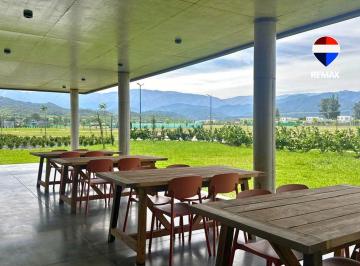 Terreno · 800m² · Venta Permuta Terreno Las Chuñas San Lorenzo Chico