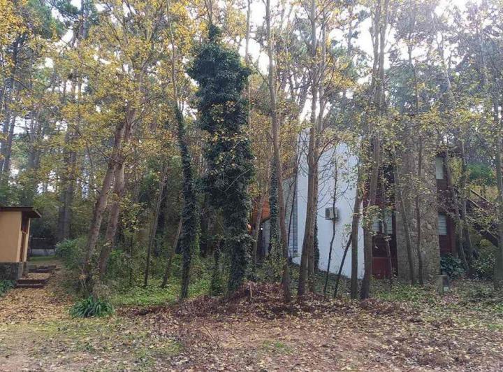 Terreno · 275m²