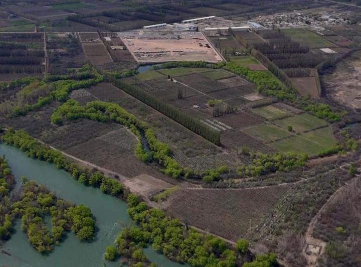 Campo · 70ha