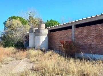 Campo · 1200ha · Venta 7 Hectáreas 7 Galpones Pareditas San Carlos