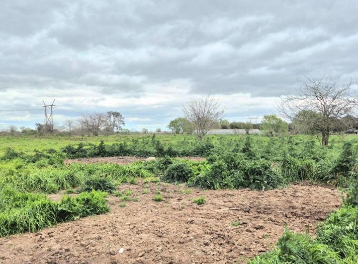 Terreno · 52500m²
