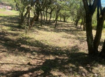 Terreno , Salsipuedes · Terreno de 300 m² en Venta en Salsipuedes