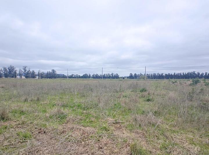 Terreno · 293m²