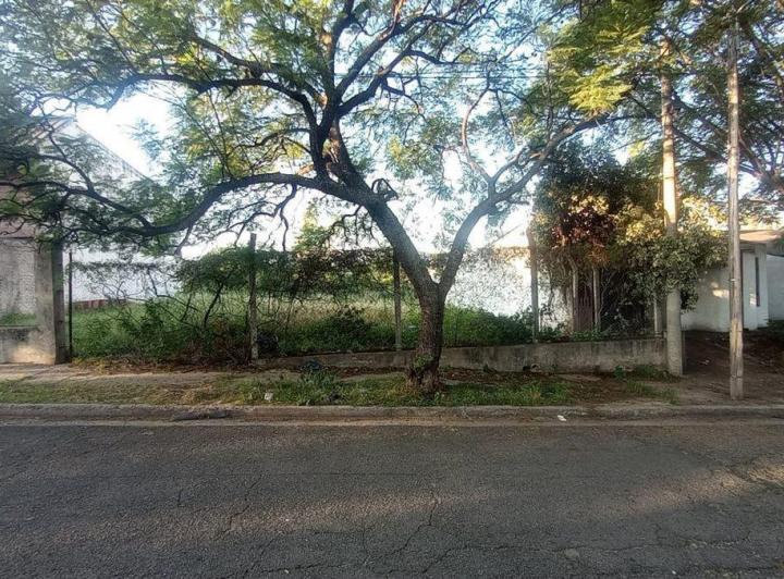 Terreno · 343m²