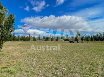 Campo · 3ha · Venta Chacra de Casi 3 Ha en Sarmiento