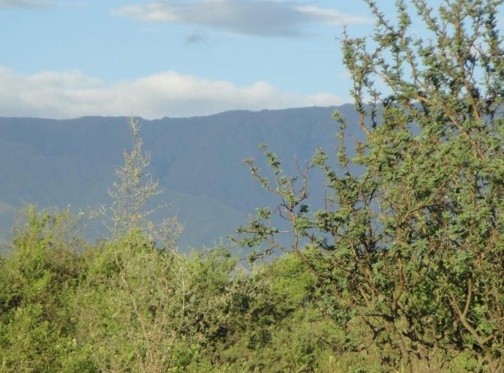 Terreno · 8665m²