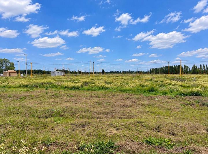 Terreno · 250m²