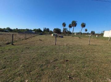 Terreno · 1000m² · Terreno en Venta de 1.000 m² – Ayres de Colonia
