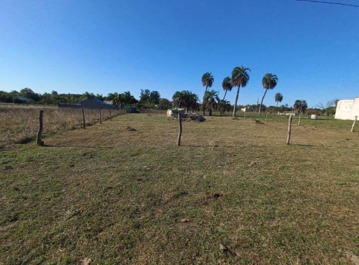 Terreno · 1000m²