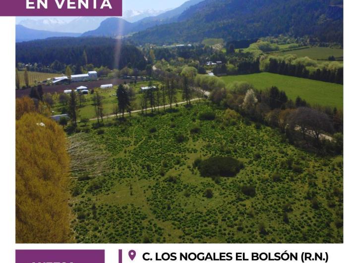 Terreno · 11496m²