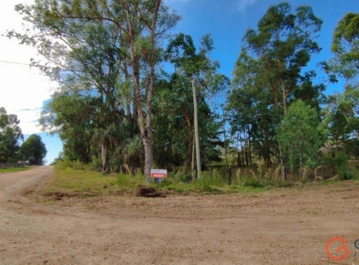 Terreno · 20000m²