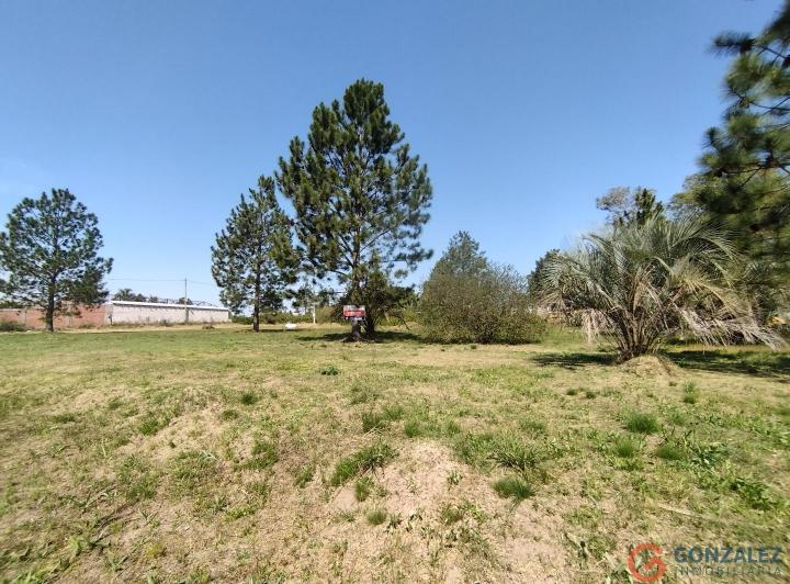 Terreno · 1575m²