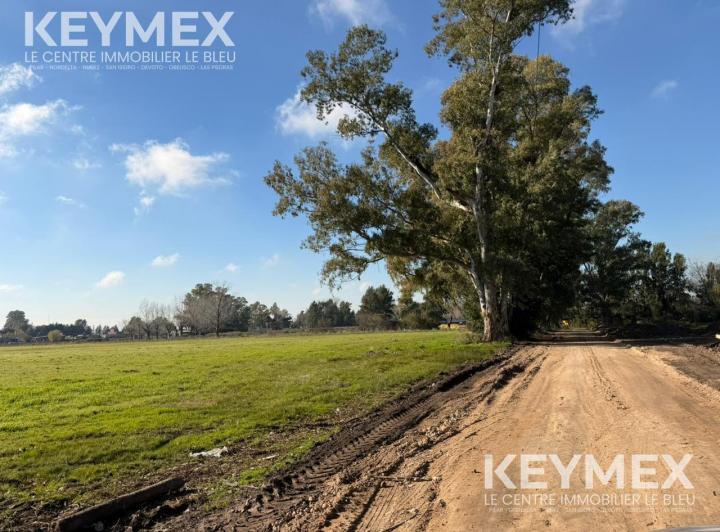 Terreno · 450m²