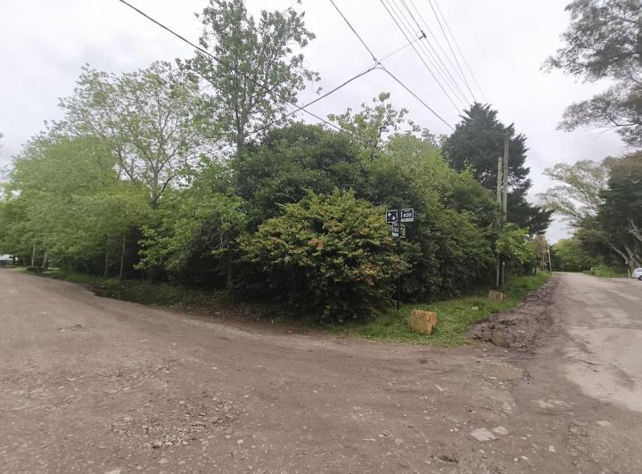 Terreno · 292m²