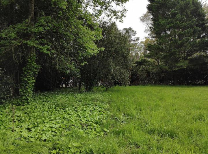 Terreno · 211m²