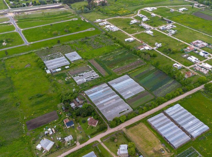 Terreno · 70000m²