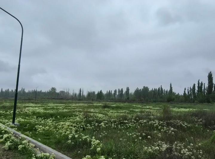Terreno · 463m²