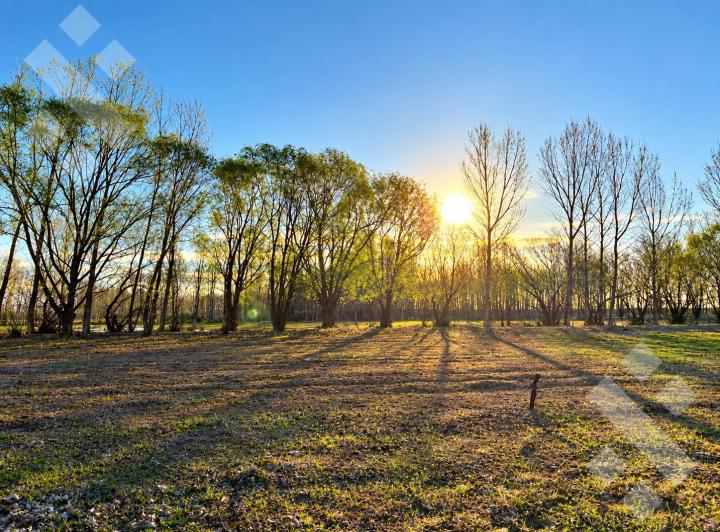 Terreno · 2600m²