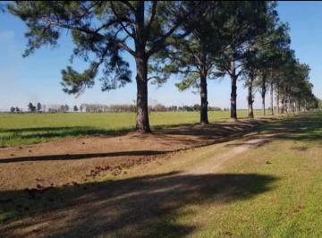 Terreno · 600m² · Exelente Terreno en Country Los Molinos