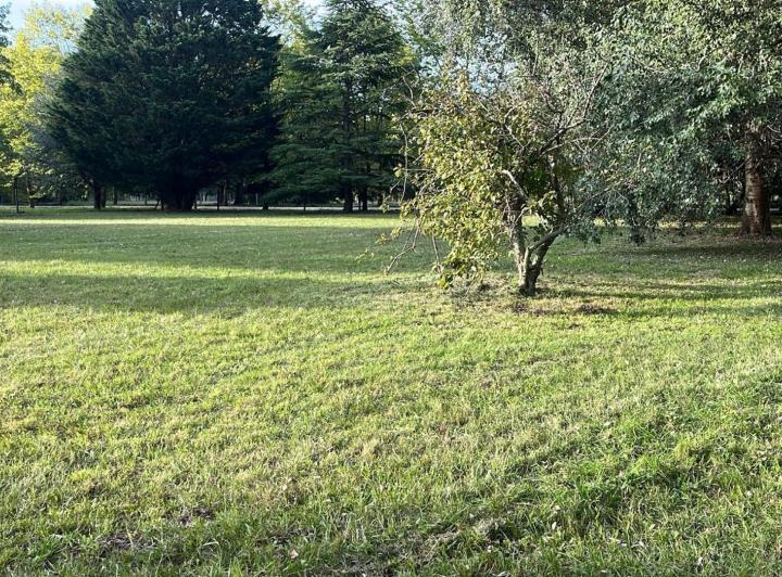Terreno · 2500m²
